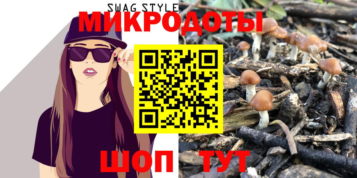 Гатчина  Галлюциногенные грибы мухоморы  Галлюциногенные грибы MAGIC MUSHROOMS  где продают   Вход с VPN 