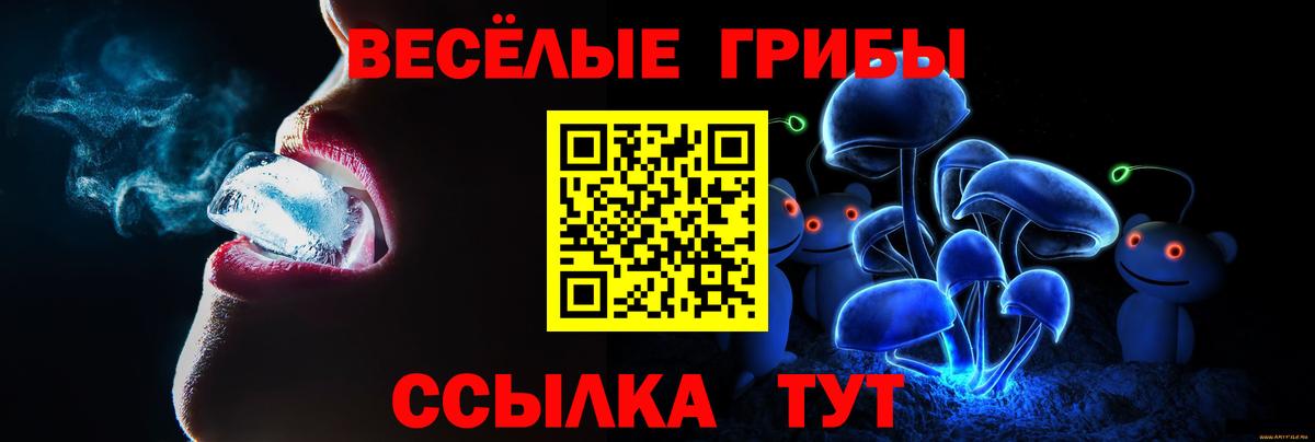 Псилоцибиновые грибы ЛСД Гатчина